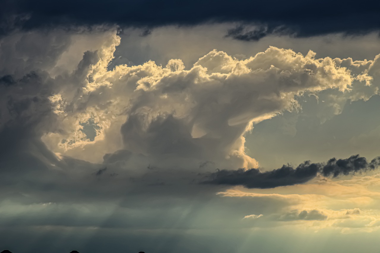 roof coatings for water damage