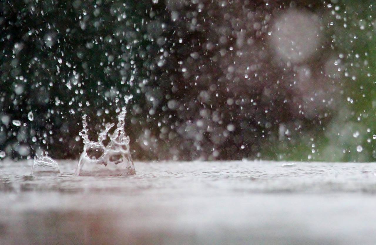 Seamless waterproofing roofing