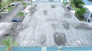 Commercial roof coatings