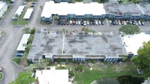 Commercial roof coatings