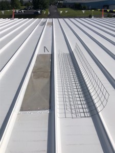 White silicone coating system